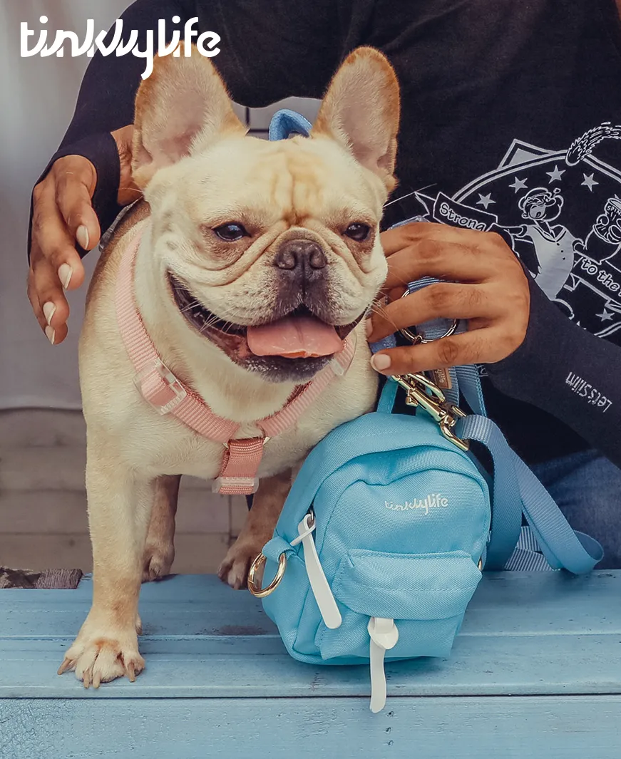 Rainbow Mini Dog Backpack