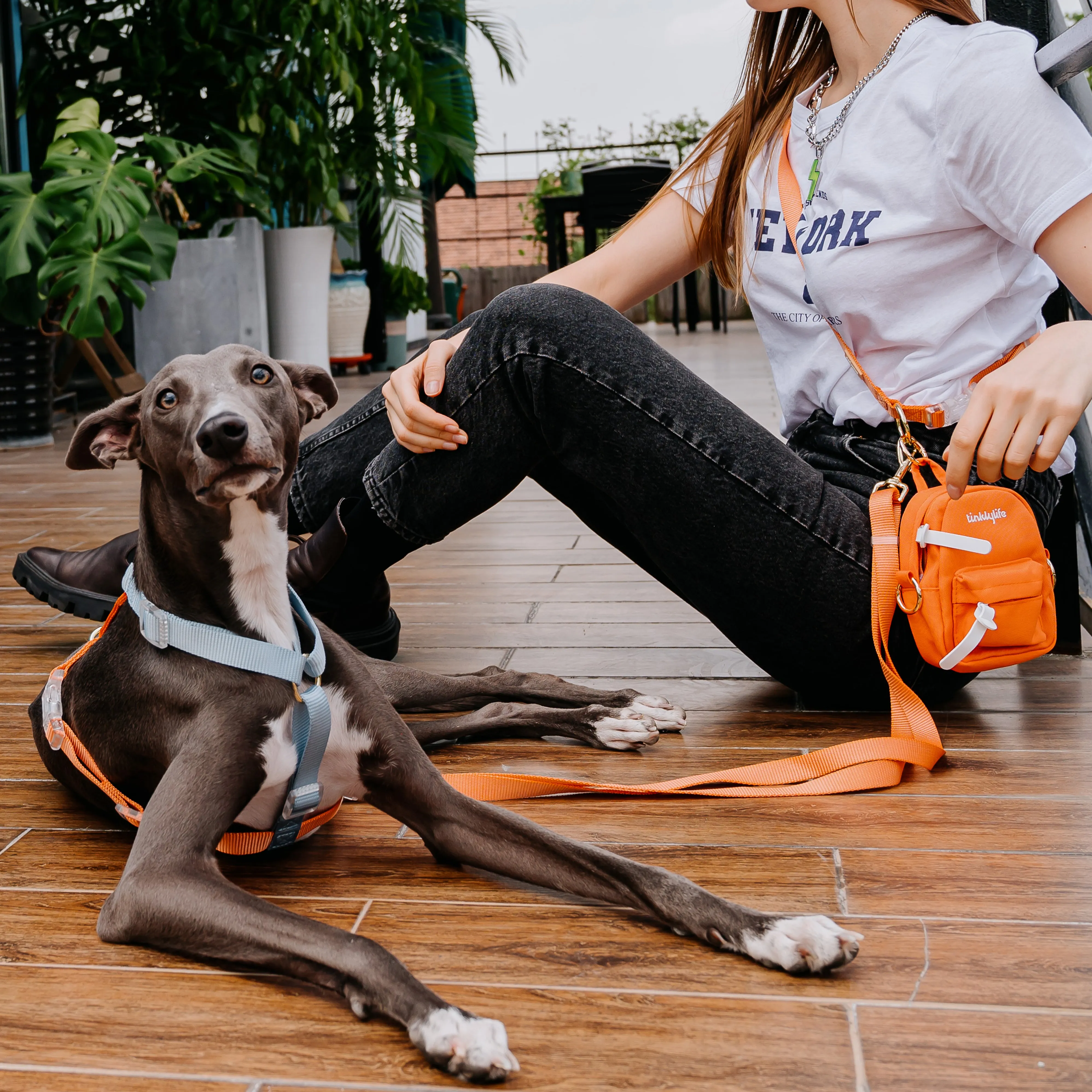 Rainbow Mini Dog Backpack