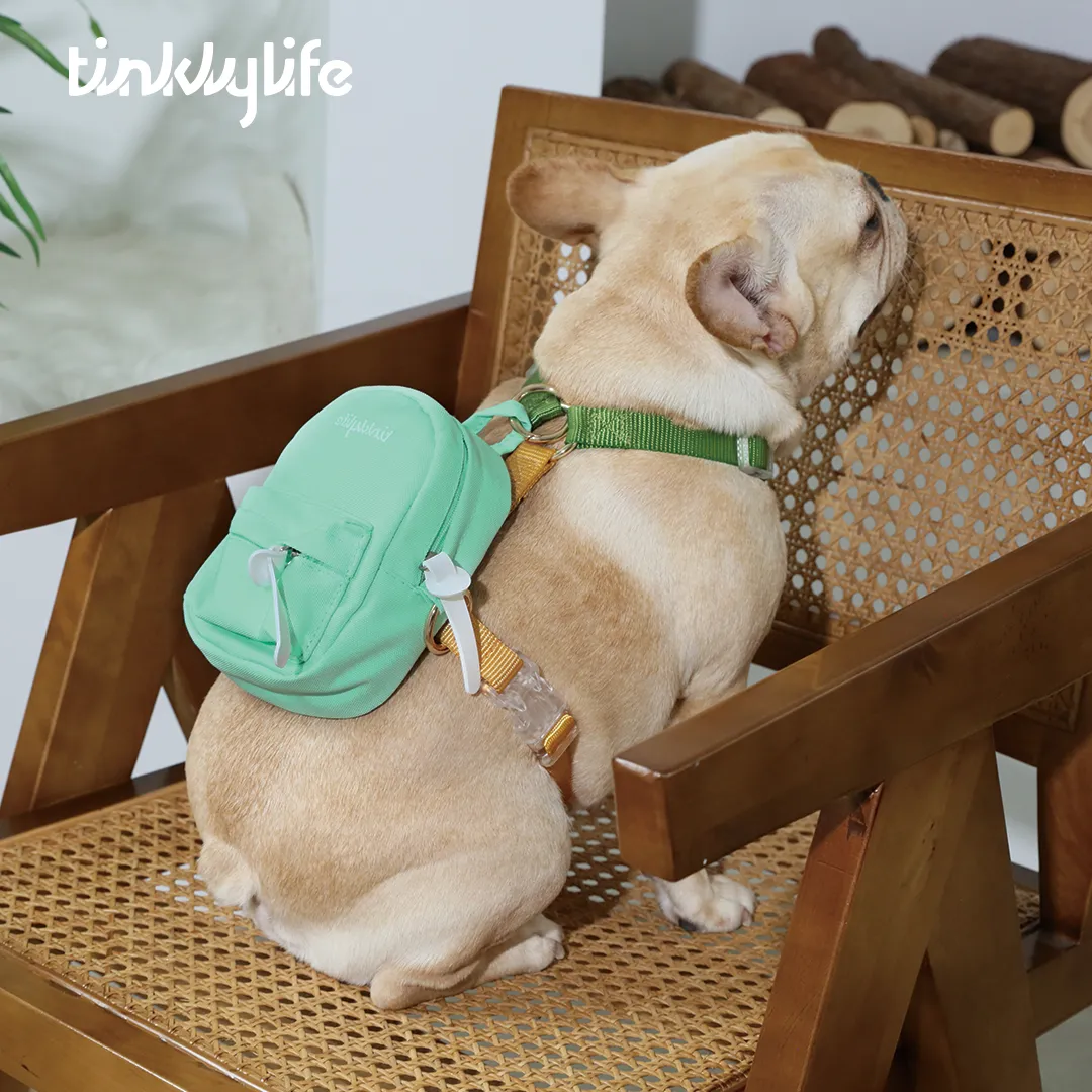 Rainbow Mini Dog Backpack