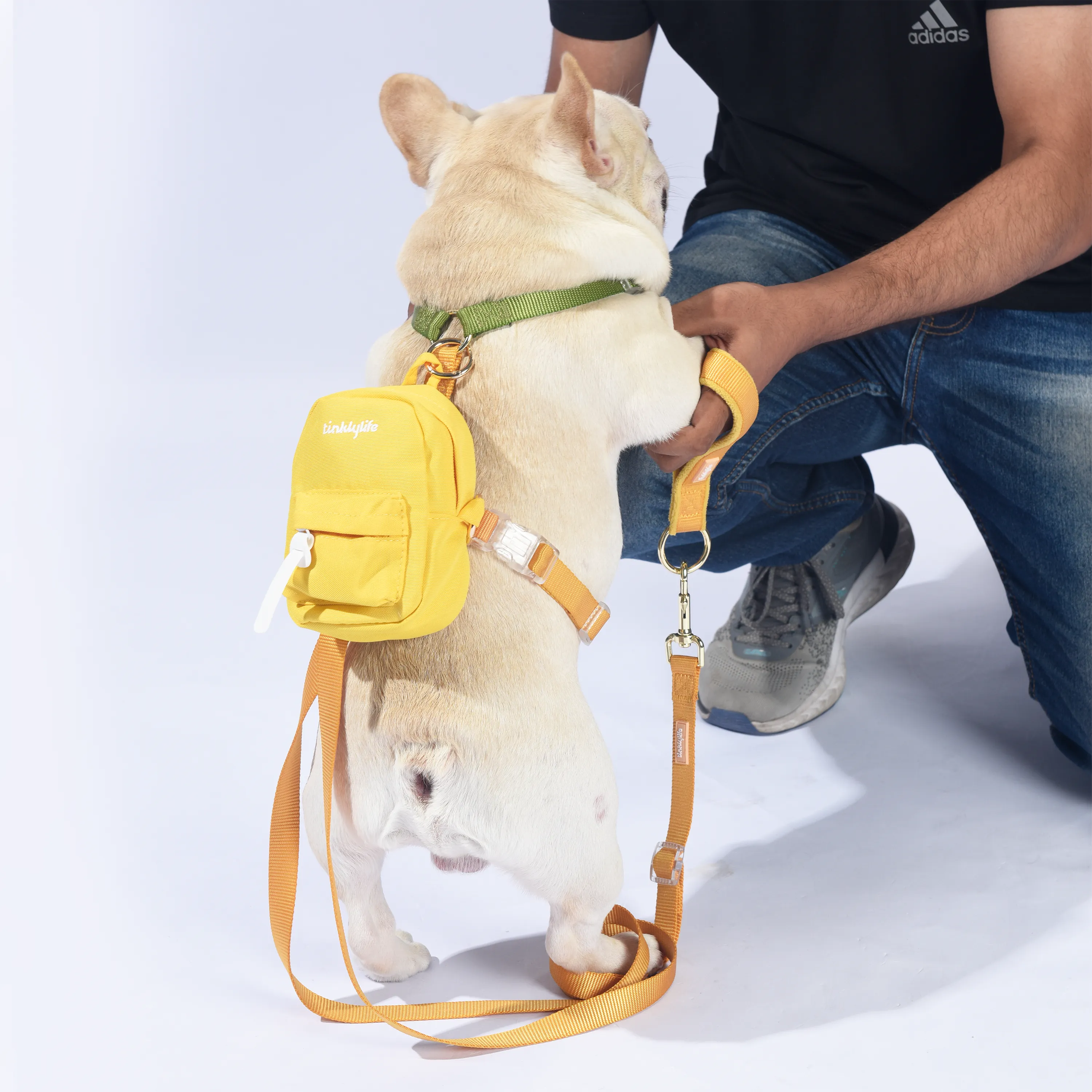 Rainbow Mini Dog Backpack
