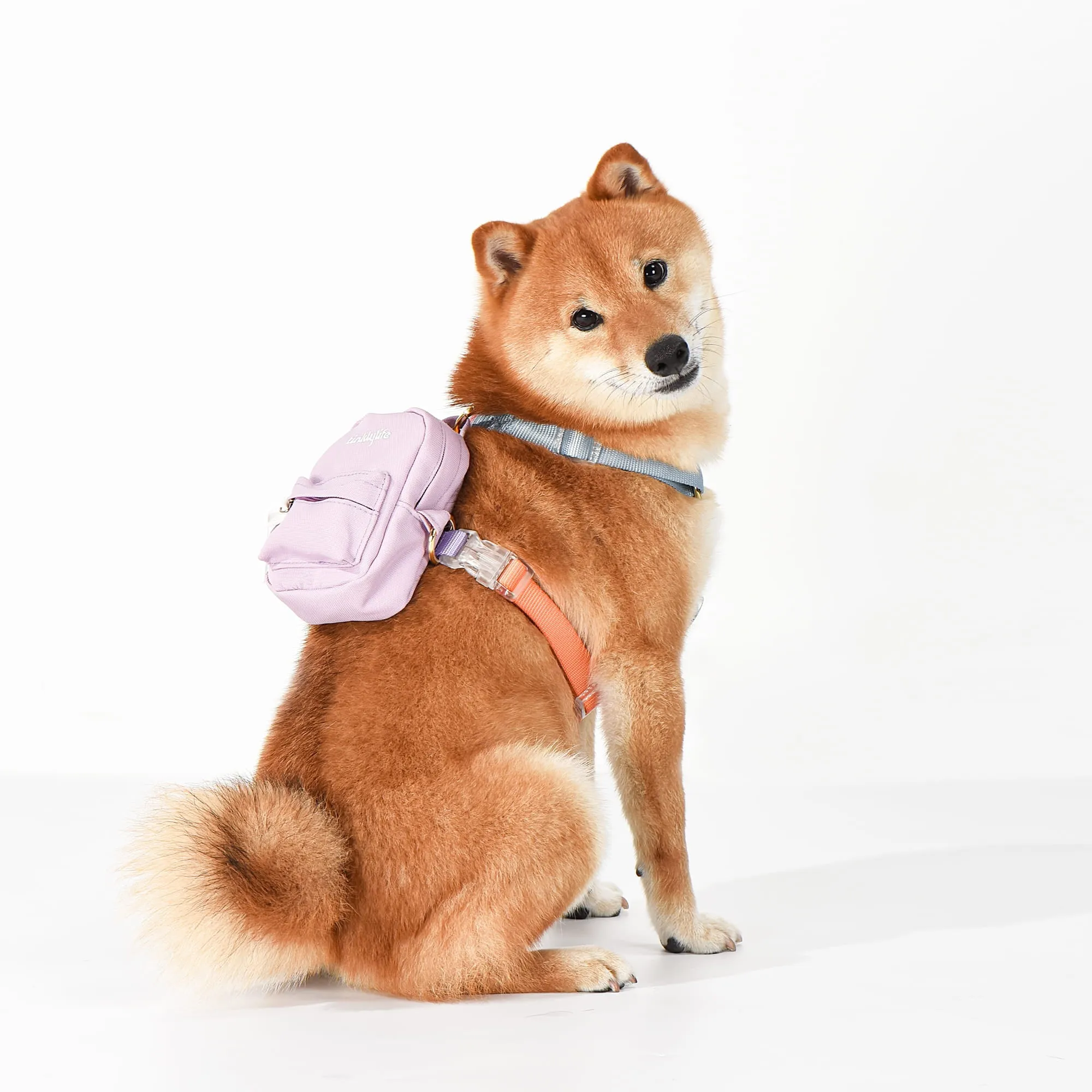 Rainbow Mini Dog Backpack