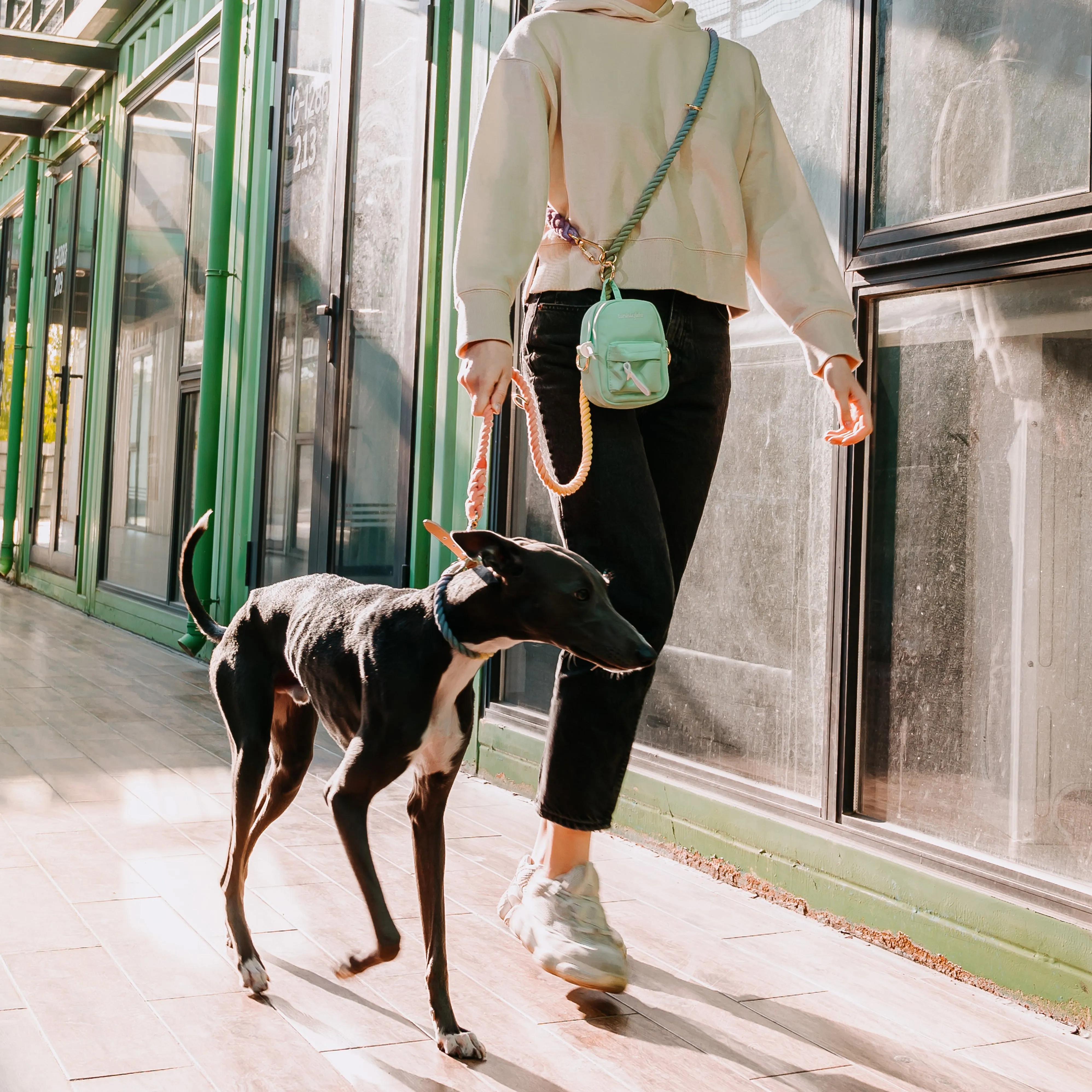 Rainbow Mini Dog Backpack