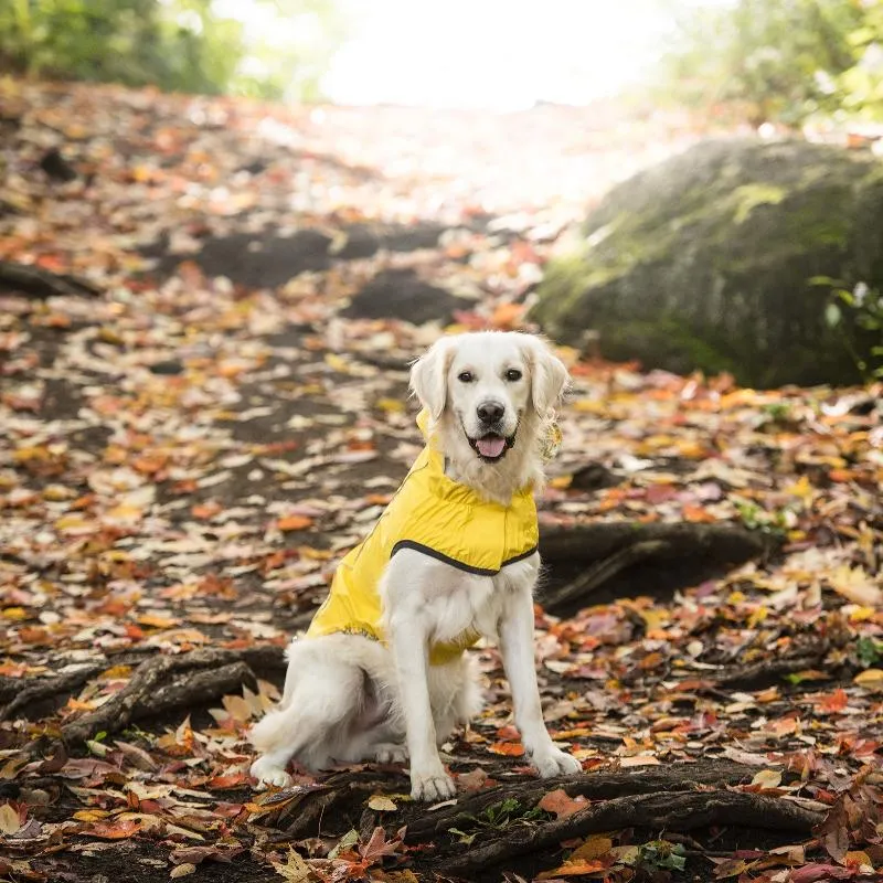 Reversible Elasto-Fit Dog Raincoat - Yellow