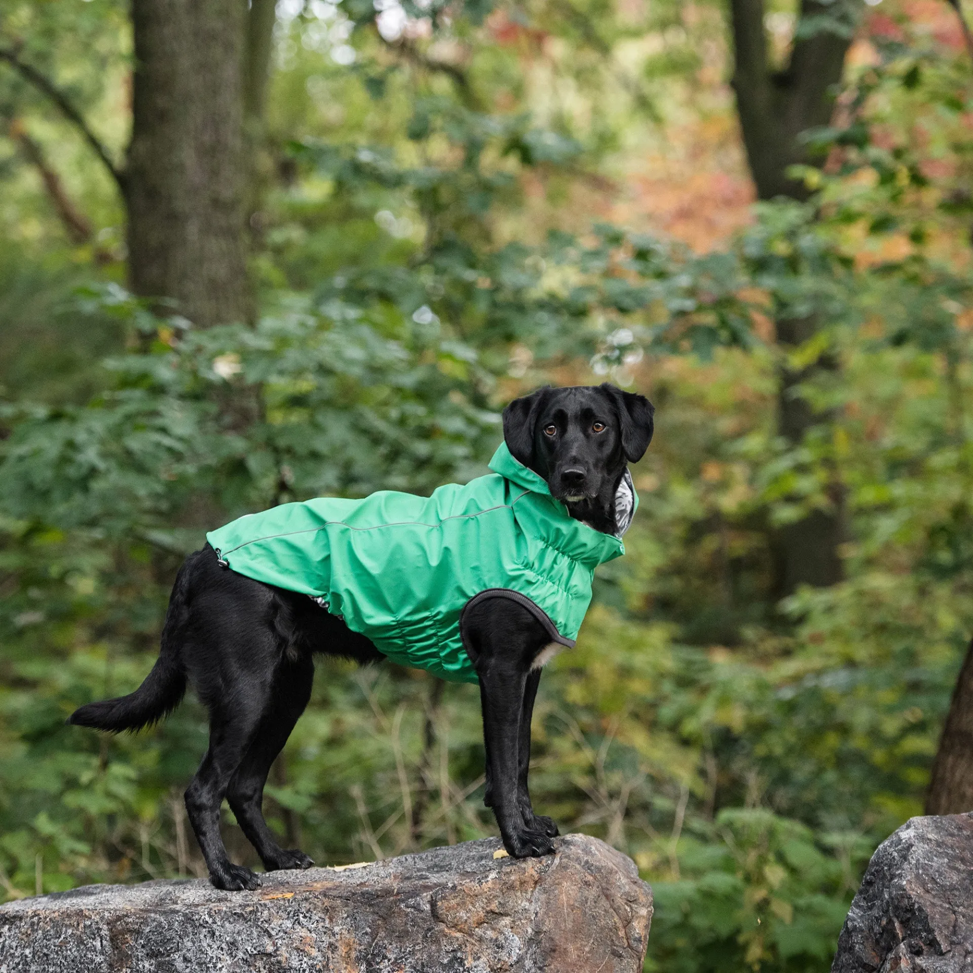 Reversible Elasto-Fit Raincoat (Green)