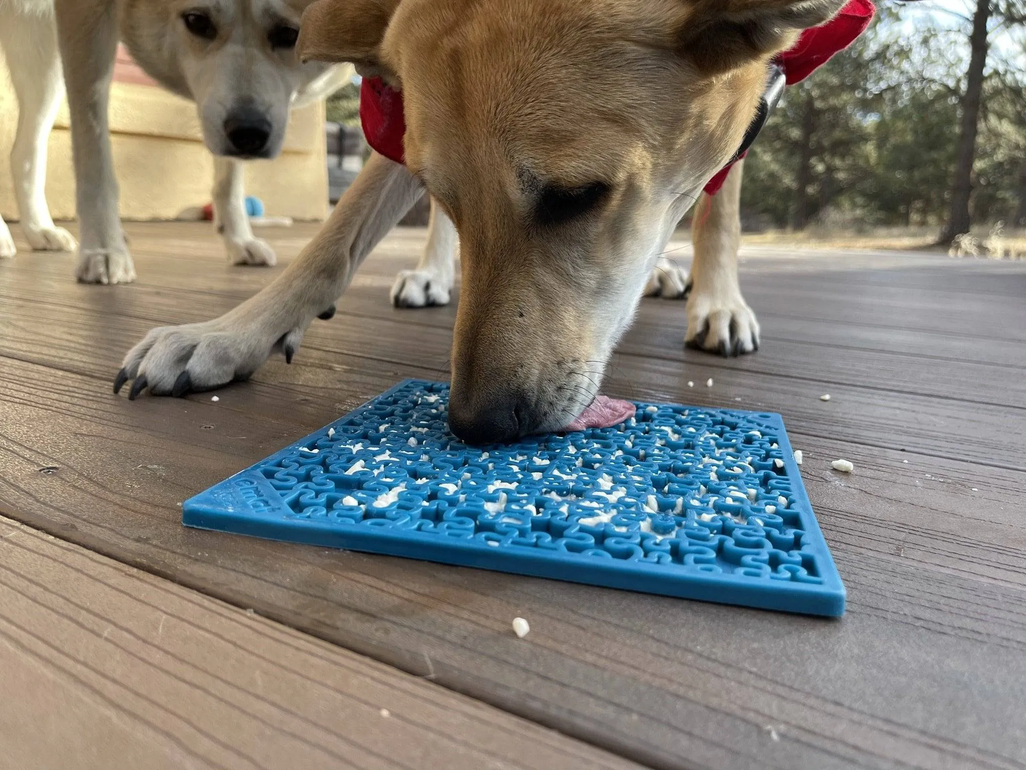 SodaPup Jigsaw Emat Enrichment Lick Mat For Dogs