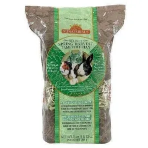 Spring Harvest Timothy Hay