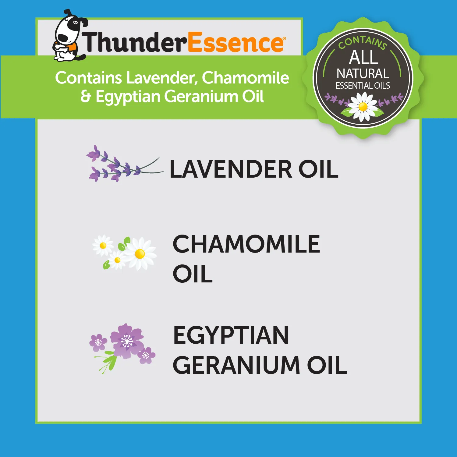 ThunderEssence Calming Essential Oil Spray for Dogs from ThunderWorks