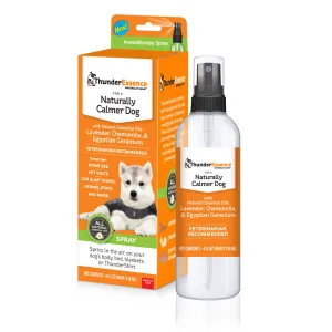 ThunderEssence Calming Essential Oil Spray for Dogs from ThunderWorks