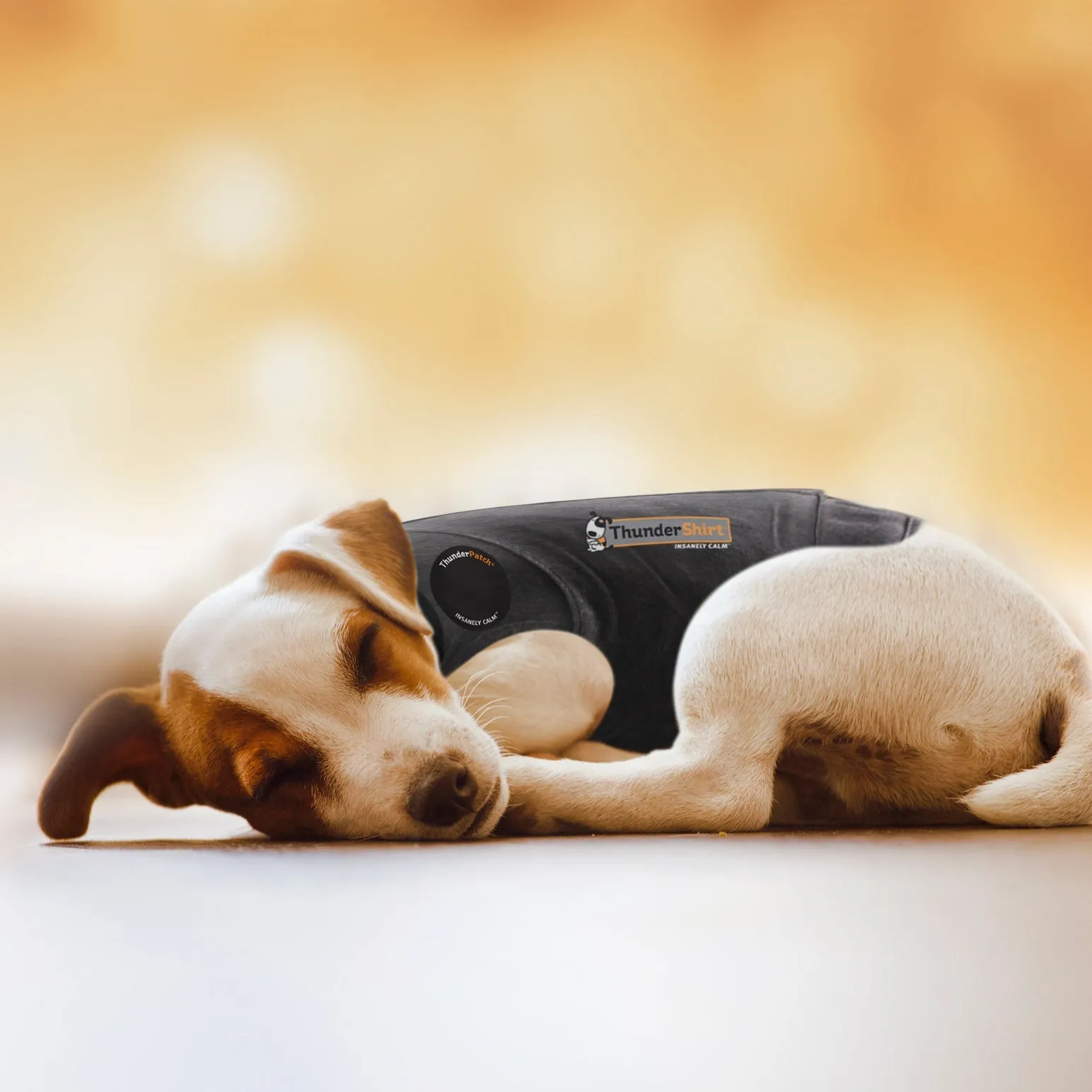 ThunderEssence Calming Essential Oil Spray for Dogs from ThunderWorks