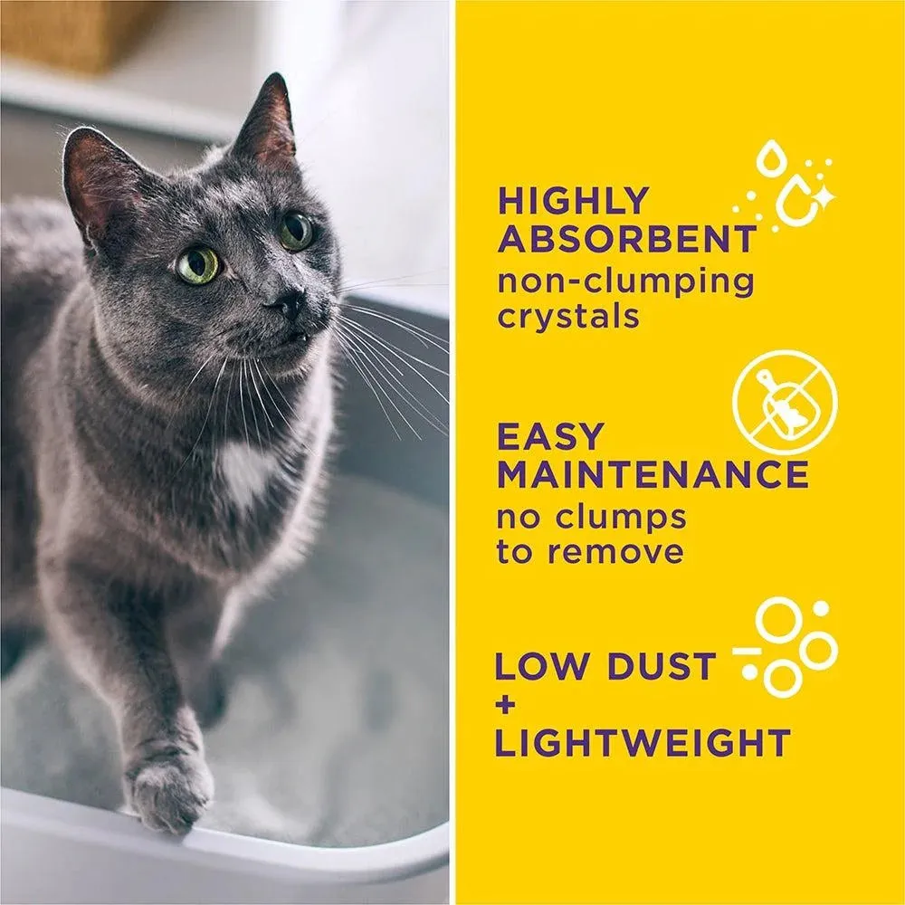 Tidy Cats Tidy Care Alert