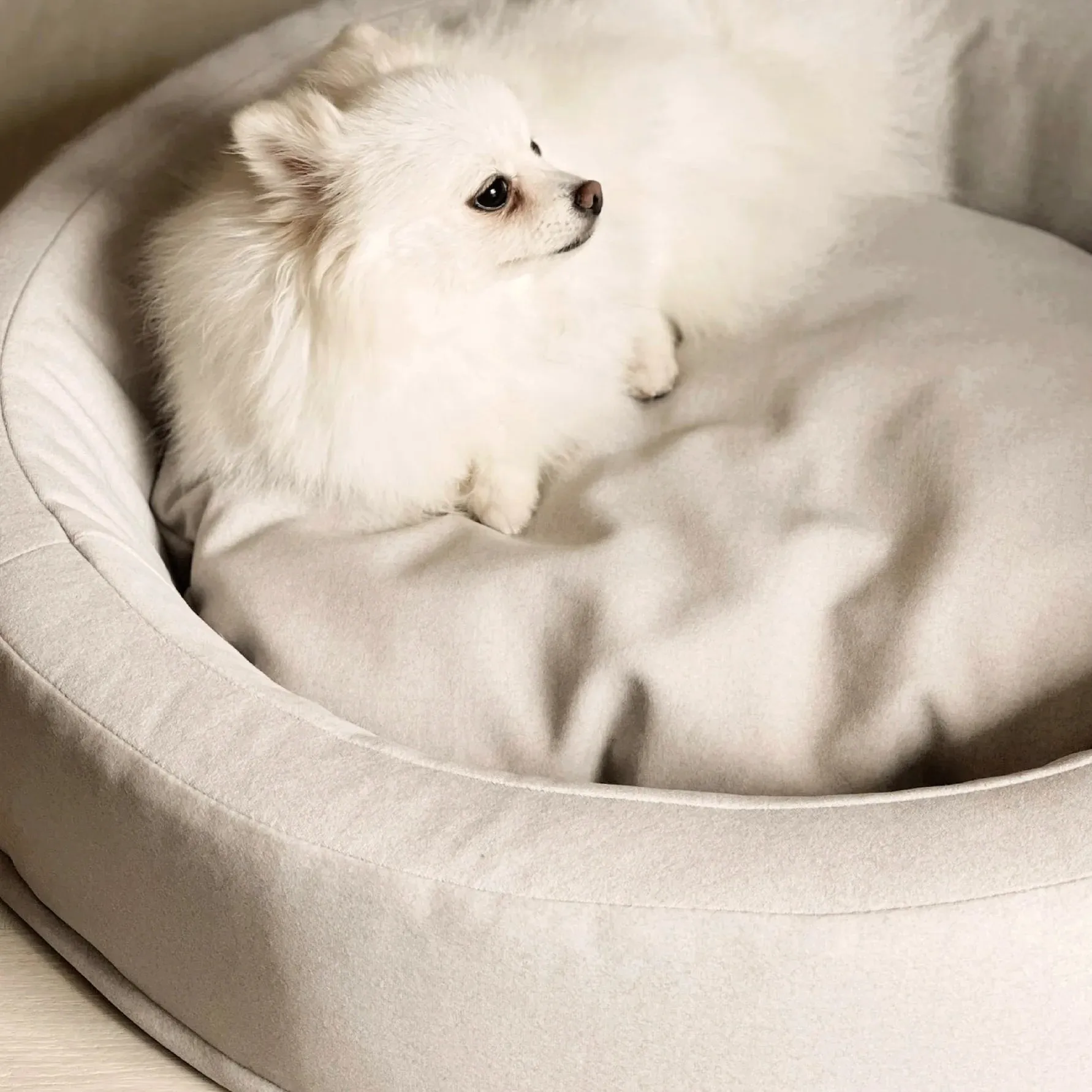 Zest Livings Bespoke Crafted Bed For Dogs & Cats (Nest)